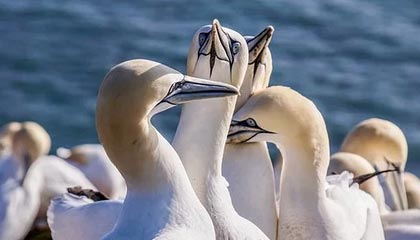 先别急着喷 ｜ 91视频——随手一搜，其实答案很简单但没人说？别问我怎么知道的