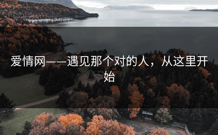 爱情网——遇见那个对的人，从这里开始