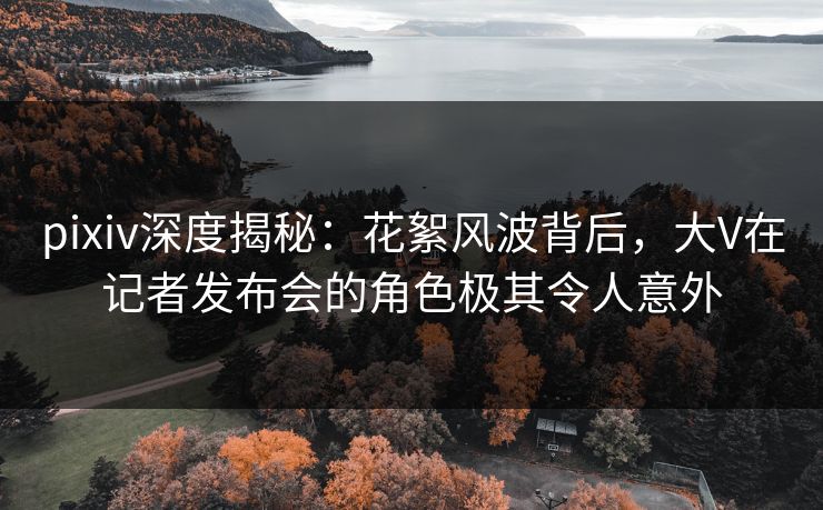 pixiv深度揭秘：花絮风波背后，大V在记者发布会的角色极其令人意外