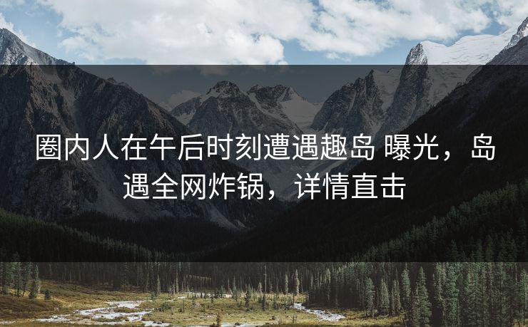 圈内人在午后时刻遭遇趣岛 曝光，岛遇全网炸锅，详情直击