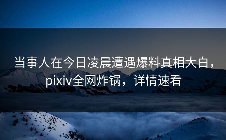 当事人在今日凌晨遭遇爆料真相大白，pixiv全网炸锅，详情速看