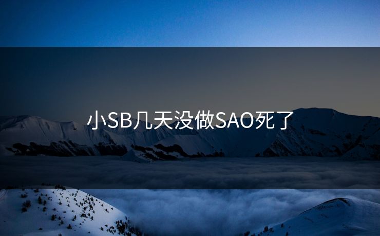 小SB几天没做SAO死了