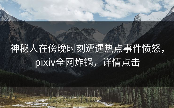 神秘人在傍晚时刻遭遇热点事件愤怒,pixiv全网炸锅,详情点击
