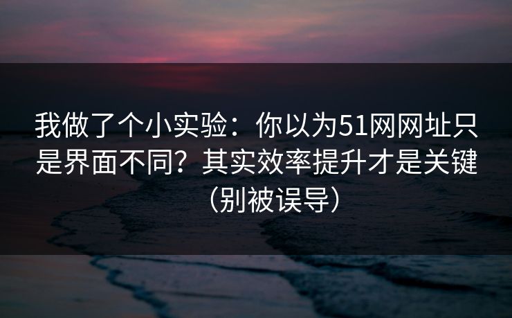 我做了个小实验:你以为51网网址只是界面不同?其实效率提升才是关键(别被误导)