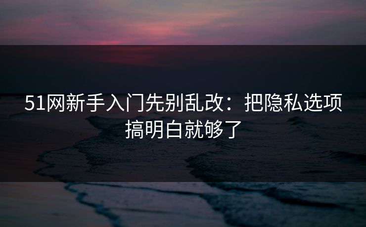 51网新手入门先别乱改:把隐私选项搞明白就够了