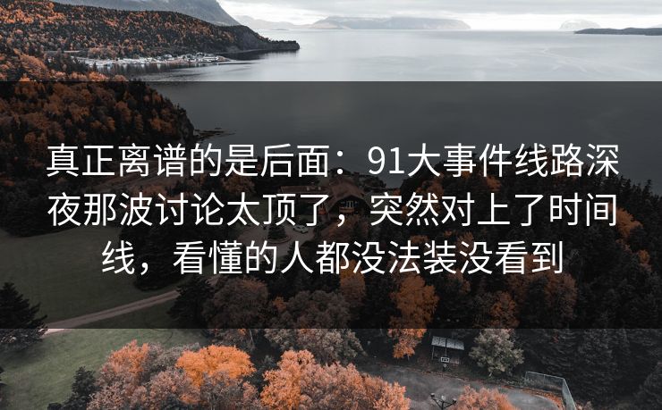 真正离谱的是后面：91大事件线路深夜那波讨论太顶了，突然对上了时间线，看懂的人都没法装没看到